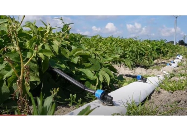 zoetwater boeren banner afbeelding 3