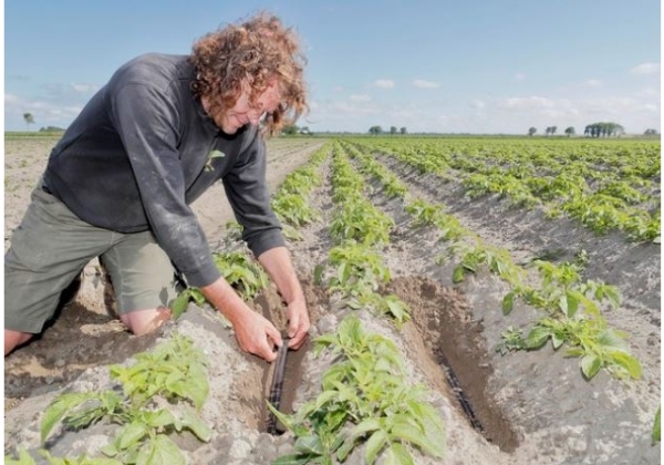 zoetwater boeren banner afbeelding 33